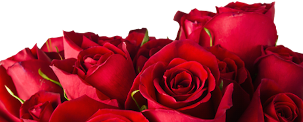 Invitación a la boda de John y Diana