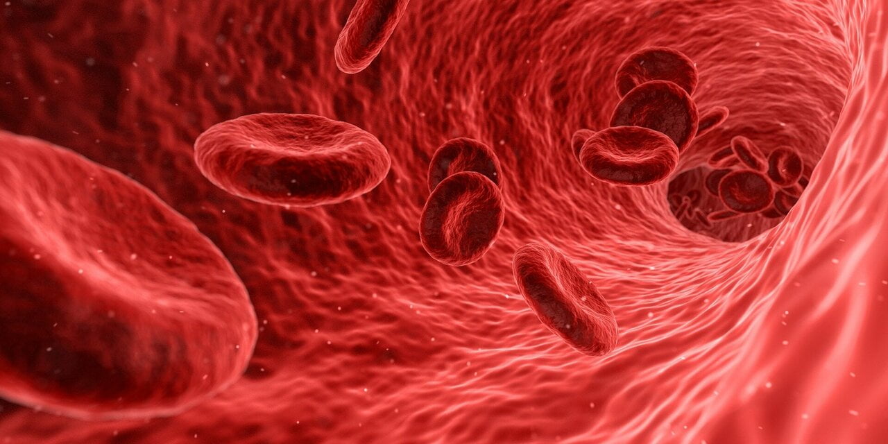 Transfusiones de sangre
